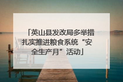 英山县发改局多举措扎实推进粮食系统“安全生产月”活动