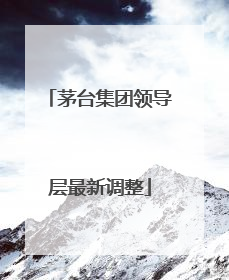 茅台集团领导层最新调整
