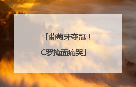 葡萄牙夺冠！C罗掩面痛哭