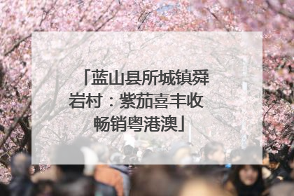 蓝山县所城镇舜岩村：紫茄喜丰收 畅销粤港澳