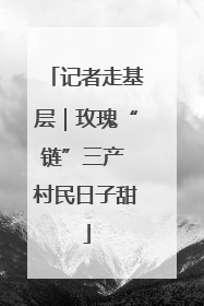 记者走基层｜玫瑰“链”三产 村民日子甜