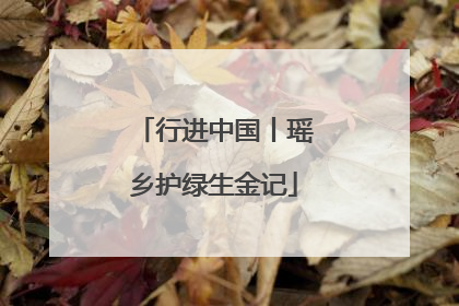 行进中国丨瑶乡护绿生金记