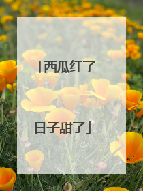 西瓜红了 日子甜了