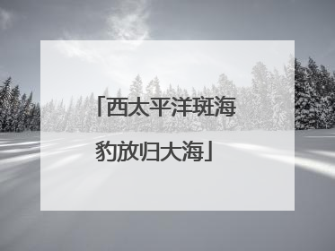 西太平洋斑海豹放归大海