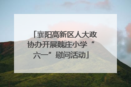 襄阳高新区人大政协办开展魏庄小学“六一”慰问活动