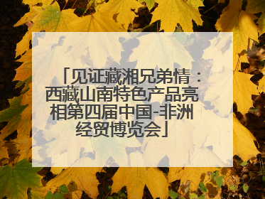 见证藏湘兄弟情：西藏山南特色产品亮相第四届中国-非洲经贸博览会