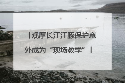 观摩长江江豚保护意外成为“现场教学”