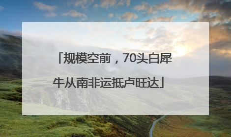 规模空前，70头白犀牛从南非运抵卢旺达