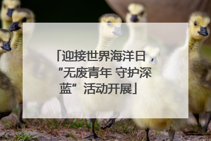 迎接世界海洋日，“无废青年 守护深蓝”活动开展