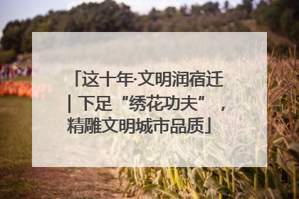 这十年·文明润宿迁｜下足“绣花功夫”，精雕文明城市品质