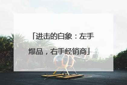 进击的白象：左手爆品，右手经销商