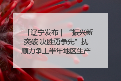 辽宁发布｜“振兴新突破 决胜勇争先”抚顺力争上半年地区生产总值增长7%左右