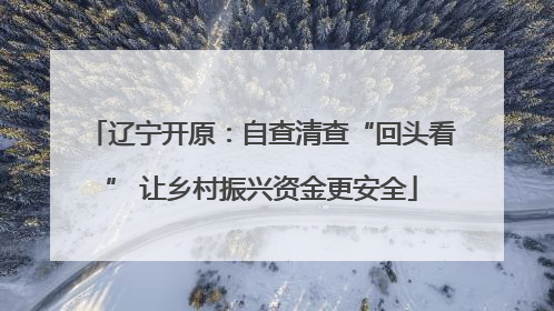 辽宁开原：自查清查“回头看” 让乡村振兴资金更安全