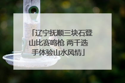 辽宁抚顺三块石登山比赛鸣枪 两千选手体验山水风情