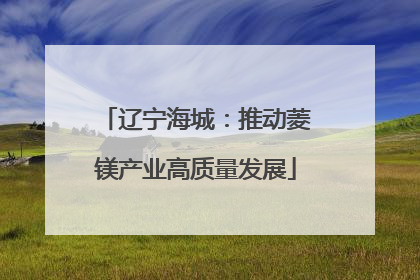 辽宁海城：推动菱镁产业高质量发展