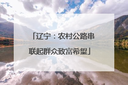 辽宁：农村公路串联起群众致富希望