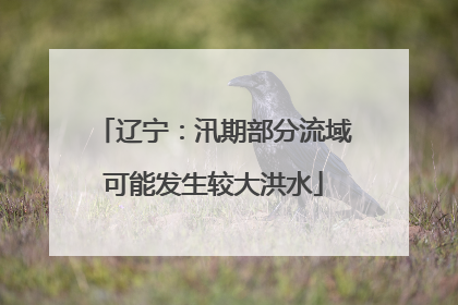 辽宁：汛期部分流域可能发生较大洪水
