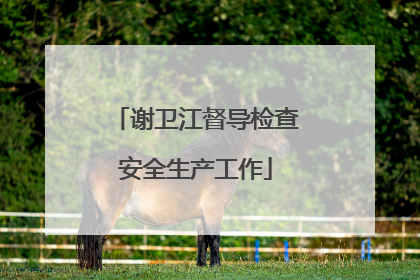 谢卫江督导检查安全生产工作