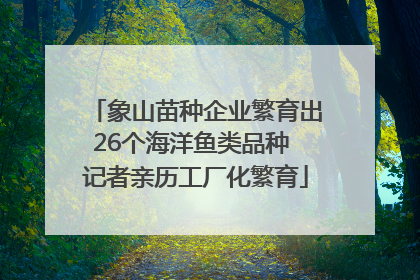 象山苗种企业繁育出26个海洋鱼类品种 记者亲历工厂化繁育