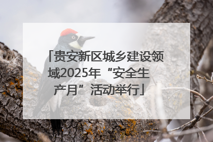 贵安新区城乡建设领域2025年“安全生产月”活动举行