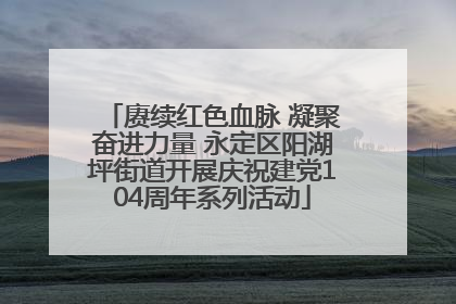 赓续红色血脉 凝聚奋进力量 永定区阳湖坪街道开展庆祝建党104周年系列活动