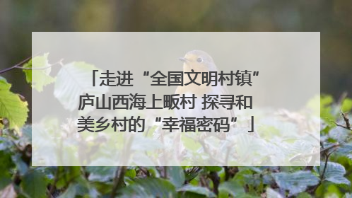 走进“全国文明村镇”庐山西海上畈村 探寻和美乡村的“幸福密码”