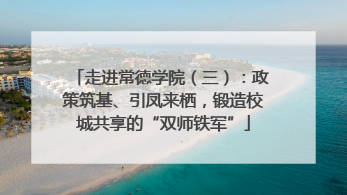 走进常德学院（三）：政策筑基、引凤来栖，锻造校城共享的“双师铁军”