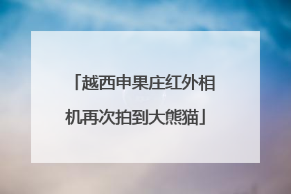 越西申果庄红外相机再次拍到大熊猫