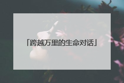 跨越万里的生命对话