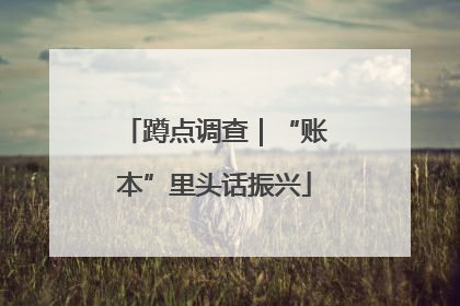 蹲点调查｜“账本”里头话振兴