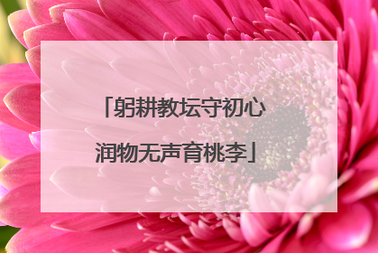 躬耕教坛守初心 润物无声育桃李
