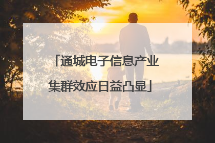 通城电子信息产业集群效应日益凸显
