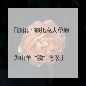 通讯：鄂托克大草原为山羊“脱”冬装