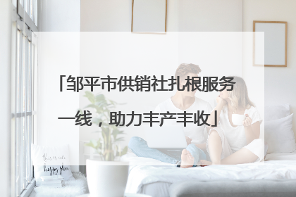邹平市供销社扎根服务一线，助力丰产丰收