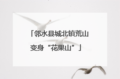 邻水县城北镇荒山变身“花果山”