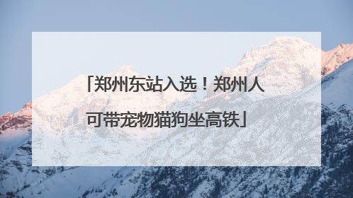郑州东站入选！郑州人可带宠物猫狗坐高铁