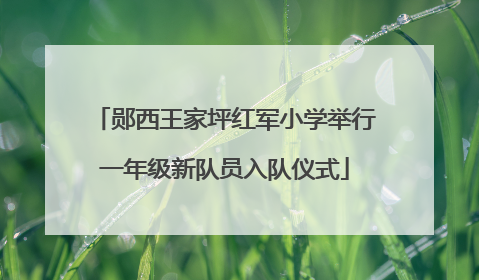郧西王家坪红军小学举行一年级新队员入队仪式