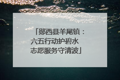 郧西县羊尾镇：六五行动护碧水 志愿服务守清波