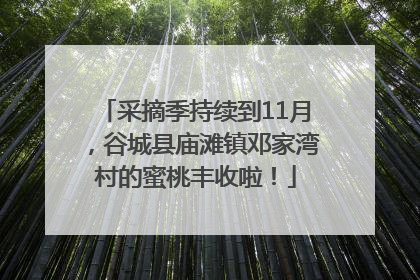 采摘季持续到11月，谷城县庙滩镇邓家湾村的蜜桃丰收啦！