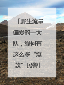 野生流量偏爱的一大队，缘何有这么多“爆款”民警