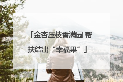 金杏压枝香满园 帮扶结出“幸福果”