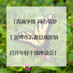 青燕争锋 同心筑梦丨淄博市沂源县燕崖镇召开年轻干部座谈会