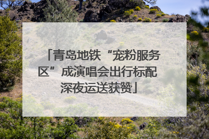青岛地铁“宠粉服务区”成演唱会出行标配 深夜运送获赞