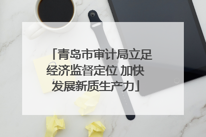 青岛市审计局立足经济监督定位 加快发展新质生产力