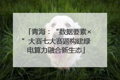 青海：“数据要素×”大赛七大赛题构建绿电算力融合新生态