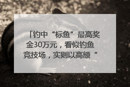 钓中“标鱼”最高奖金30万元，看似钓鱼竞技场，实则以高额“回报”作“饵”……｜今晚九点半