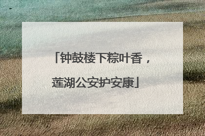 钟鼓楼下粽叶香，莲湖公安护安康