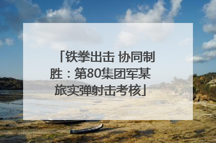铁拳出击 协同制胜：第80集团军某旅实弹射击考核