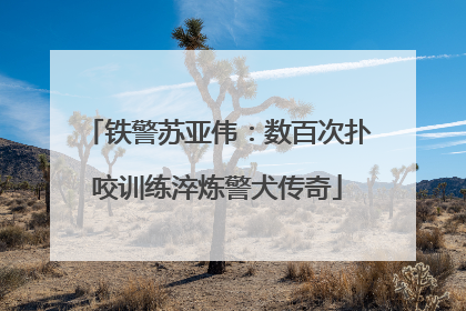 铁警苏亚伟：数百次扑咬训练淬炼警犬传奇