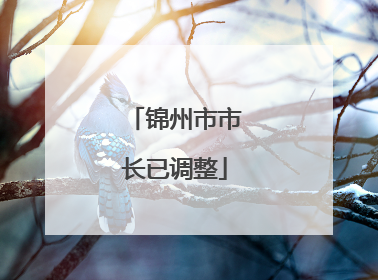 锦州市市长已调整